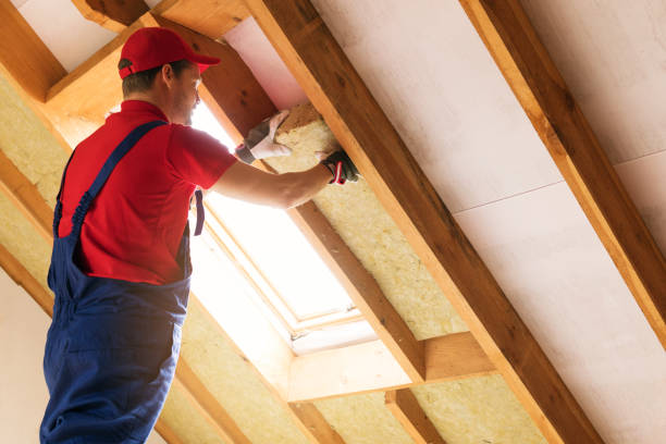 Types of Insulation We Offer in San Pablo, CA